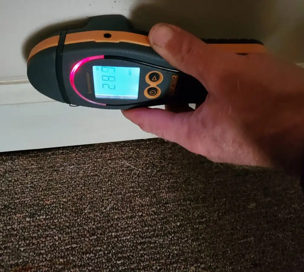 Moisture detection at baseboard during Mold Inspection & Testing in Bedford